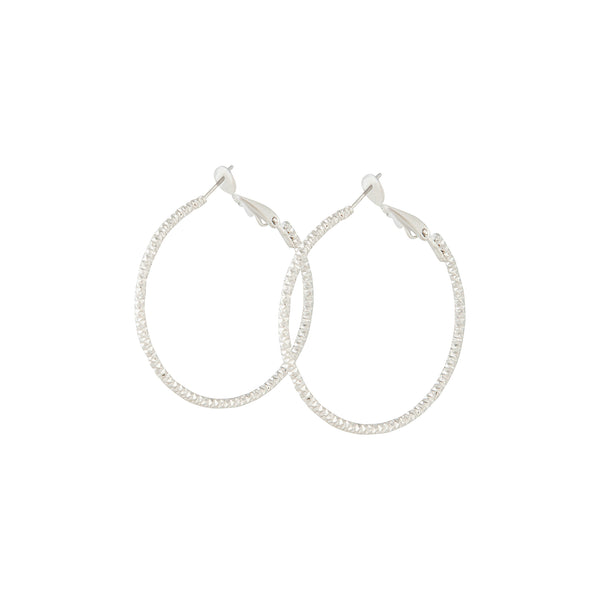 Classic Silver Round Hoop Earrings