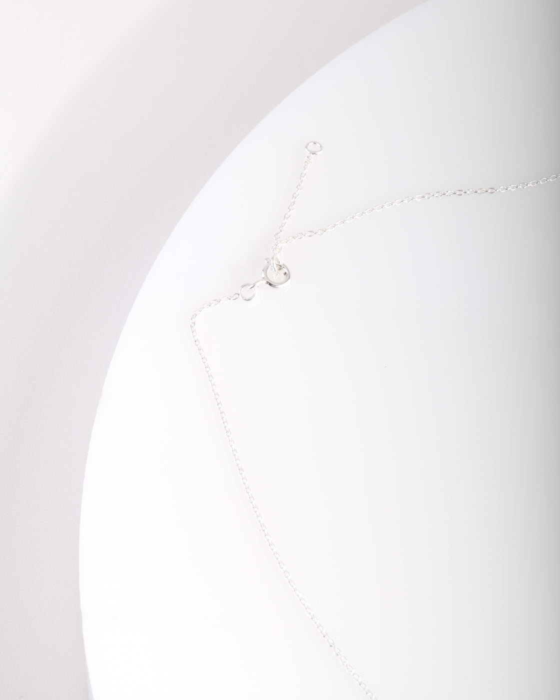 Sterling Silver Dragon Necklace