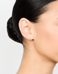 Gold Plated Surgical Steel Sleeper Earrings - link has visual effect only