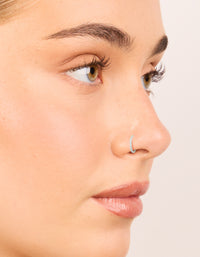 Surgical Steel Cubic Zirconia Hinged & Plain Nose Rings 2-Pack - link has visual effect only