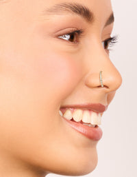 Gold Plated Surgical Steel Cubic Zirconia Hinged  & Plain Nose Rings 2-Pack - link has visual effect only