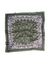 Olive Green Deco Paisley Fabric Scarf - link has visual effect only