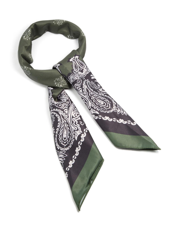 Olive Green Deco Paisley Fabric Scarf