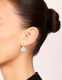 Elegant large hook drop earrings in statement style with cubic zirconia stones and plated finish on ear view - link has visual effect only
