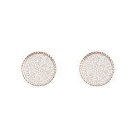 Silver Glitter Inlay Disc Earrings - link has visual effect only